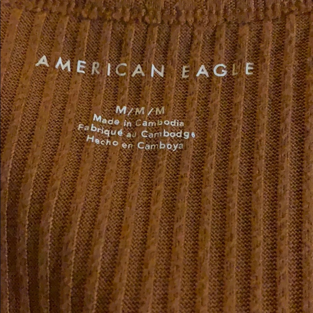 American Eagle brown long sleeve ribbed v-neck